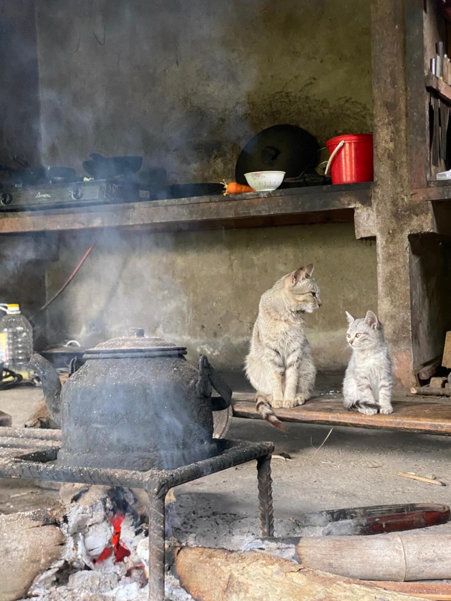 Bikki'S Jungle Homestay Ha Giang Exterior foto